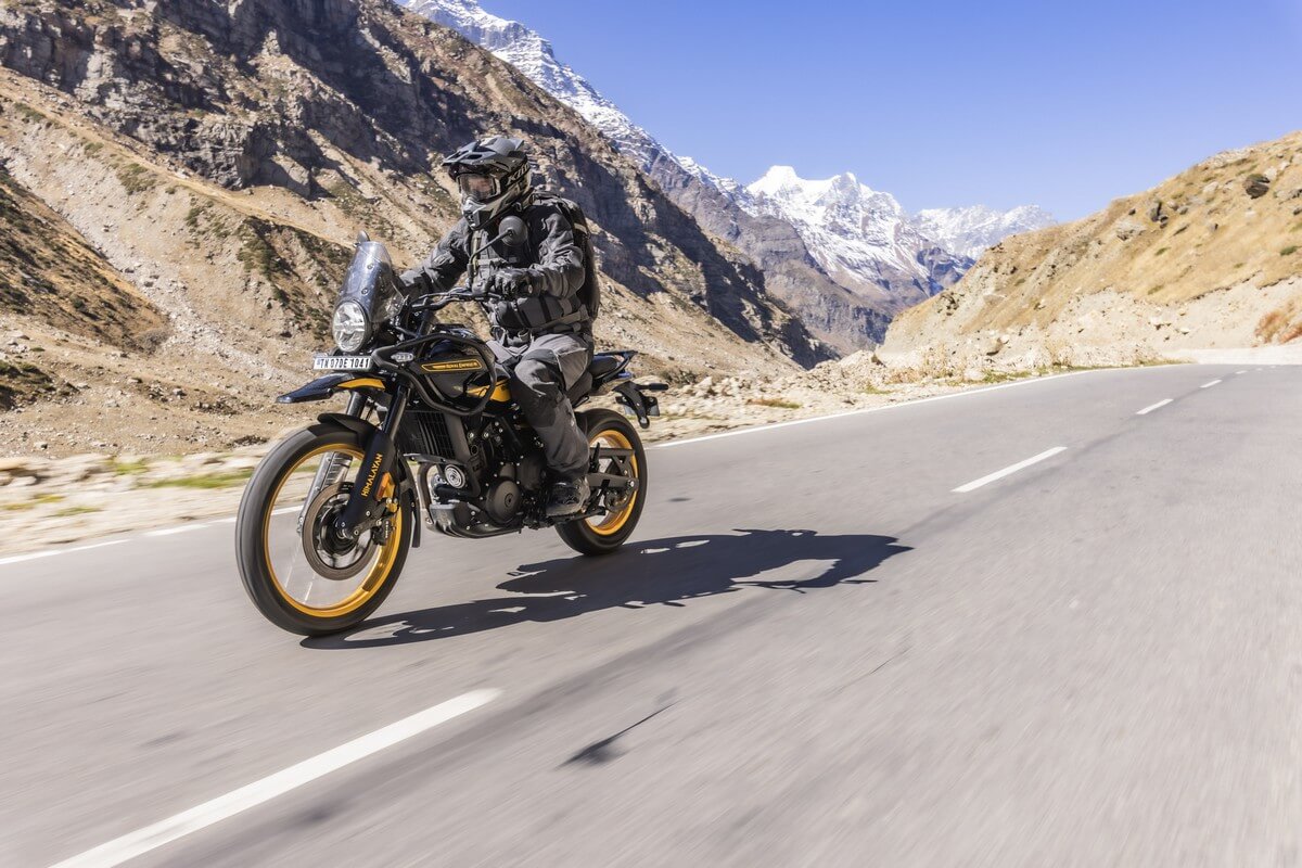 himalayan 450 noir et or